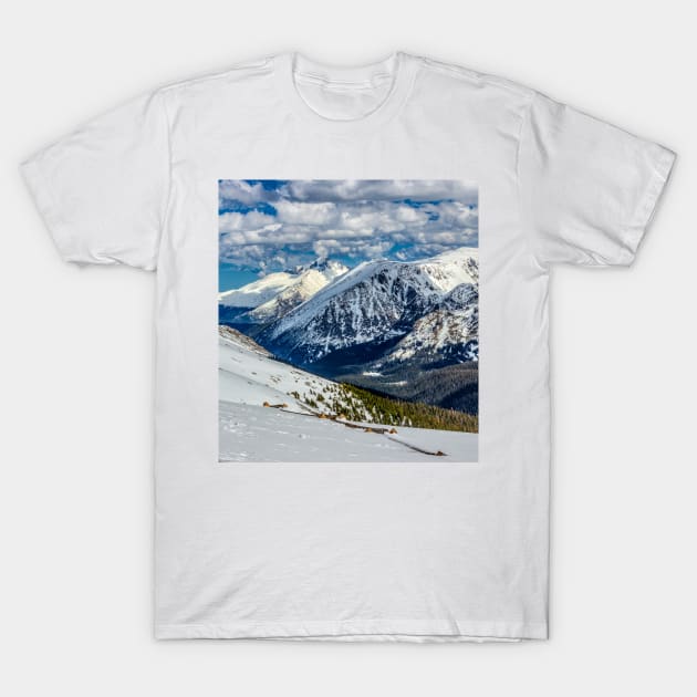 Forest Valley To Longs Peak T-Shirt by nikongreg